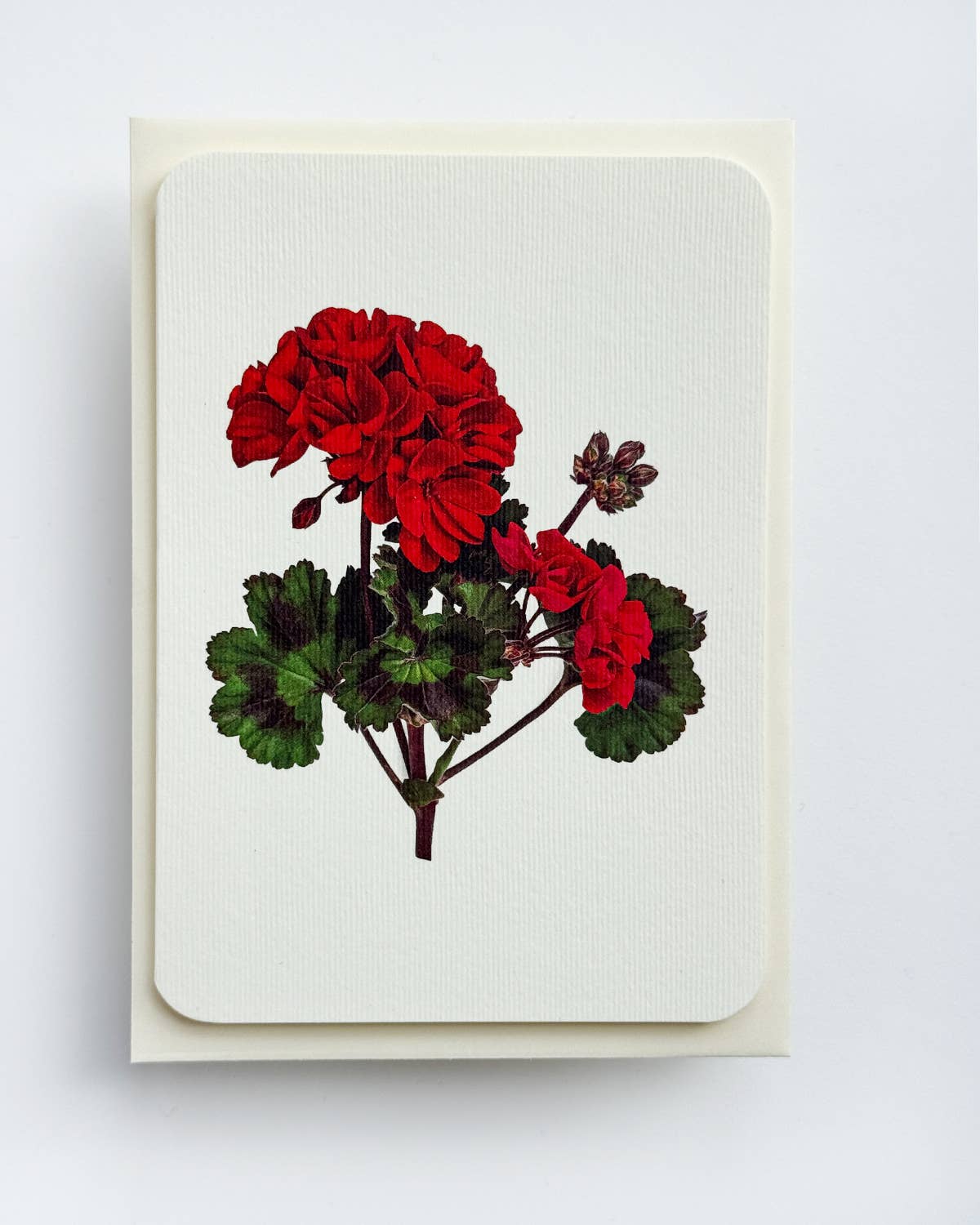 Geranium Greeting Card | Birthday Card | Luxury Cards