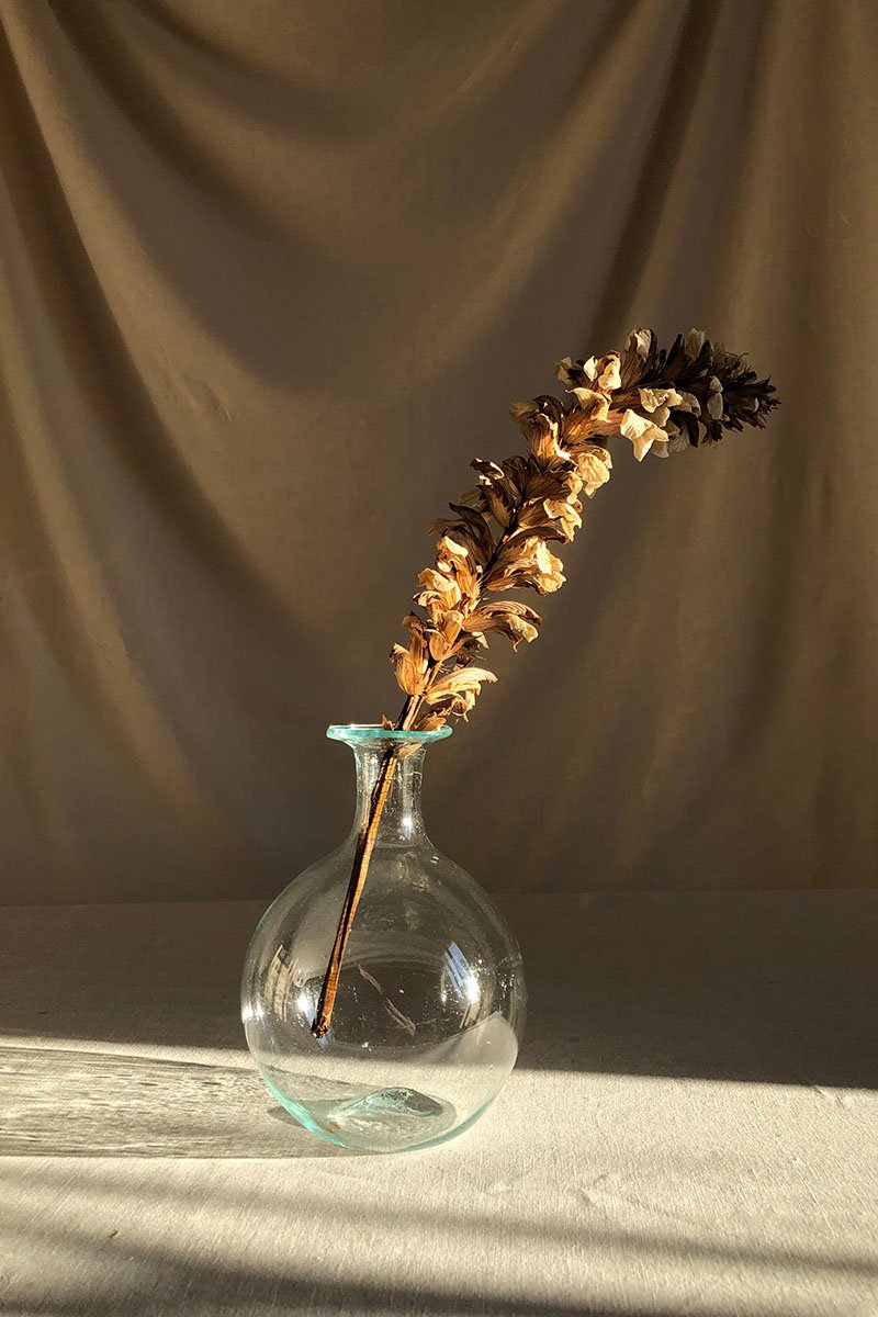 Bistrot Rond Vase - Transparent