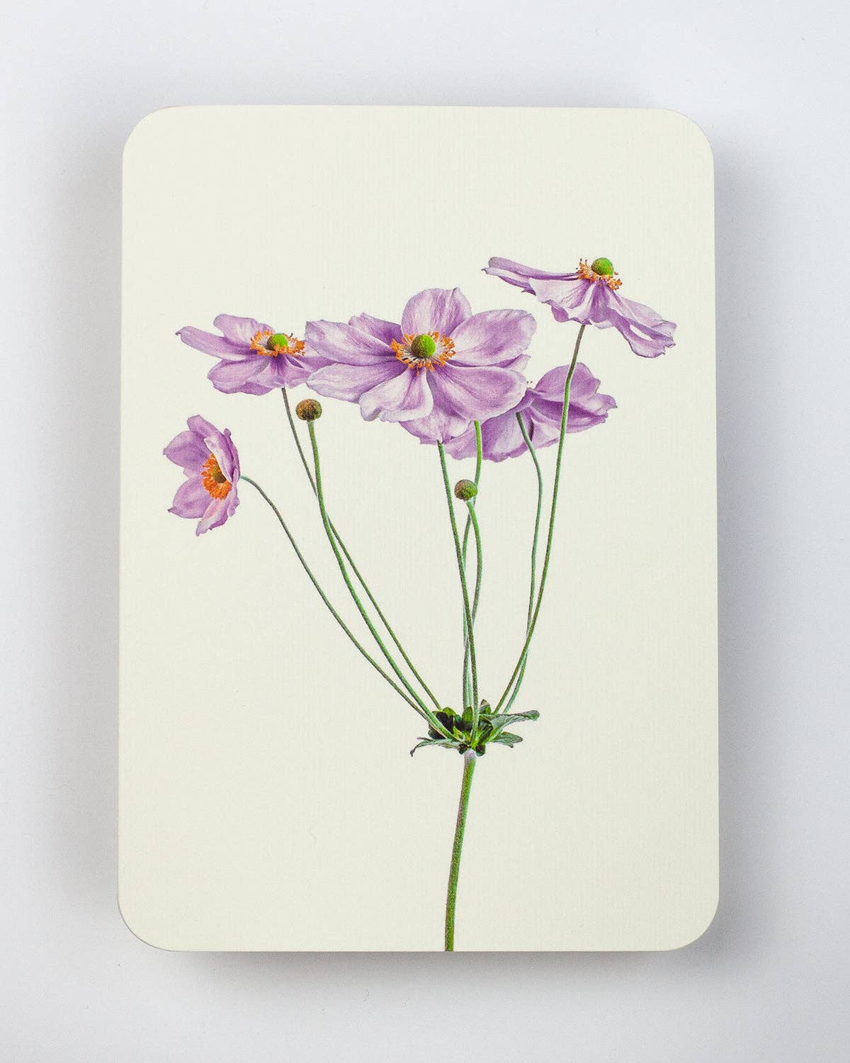 Biglietto d'auguri Anemone