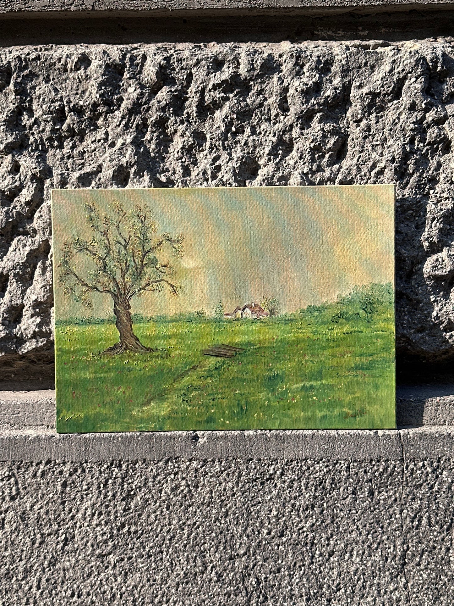 Twisted Tree In The Countryside