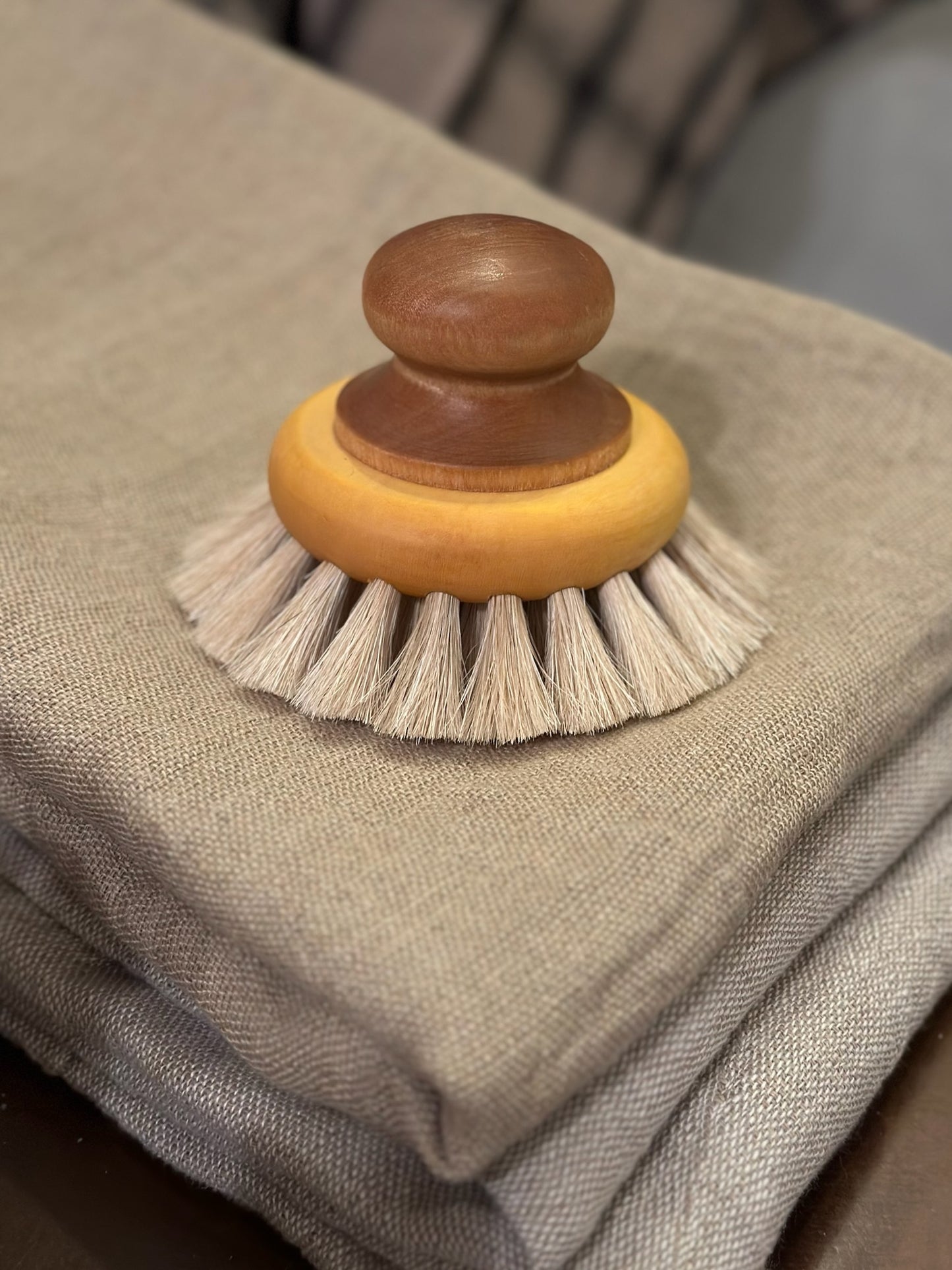 Bath Brush With Knob