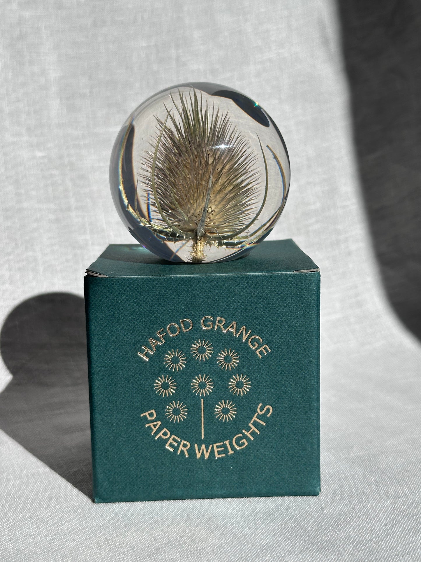 Teasel Paperweight - Small