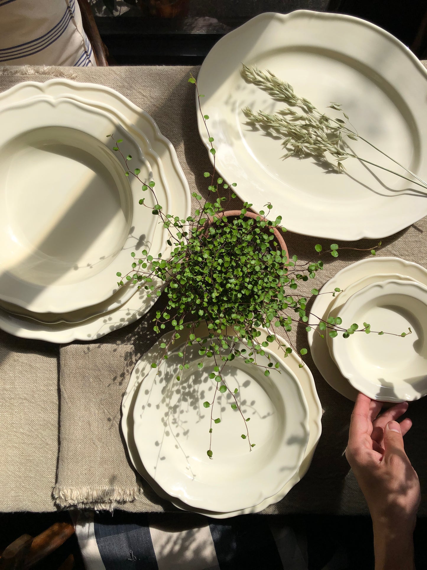 V.VM Cream Collection - Dinner Plate