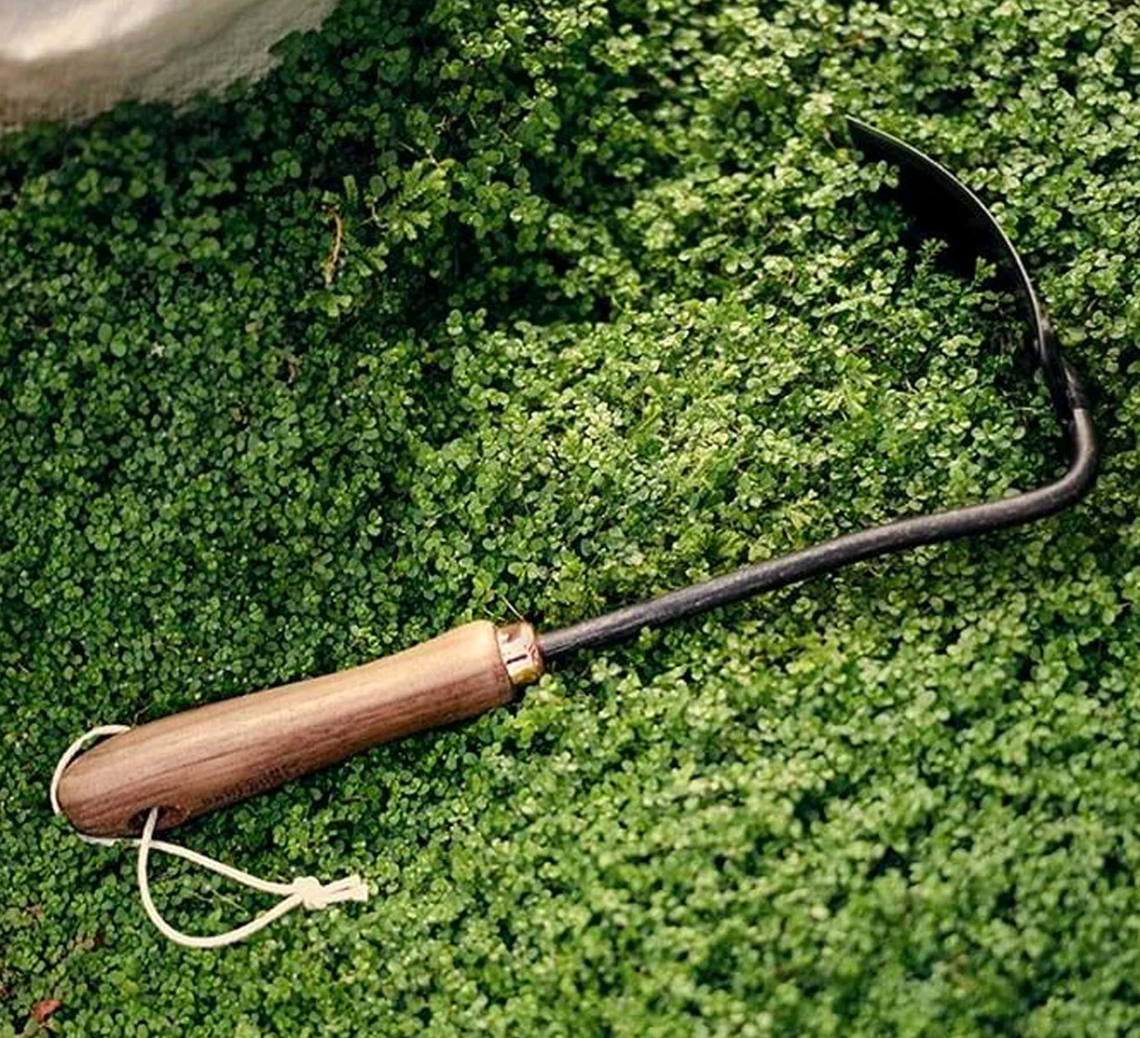 Zappa a mano quadrata da giardino