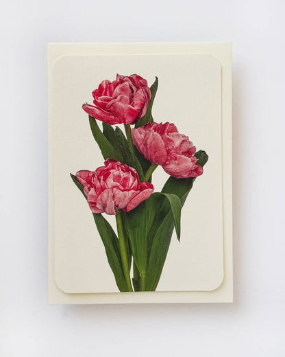 Biglietto d'auguri con tulipani rosa | Biglietto di compleanno | Biglietti di lusso