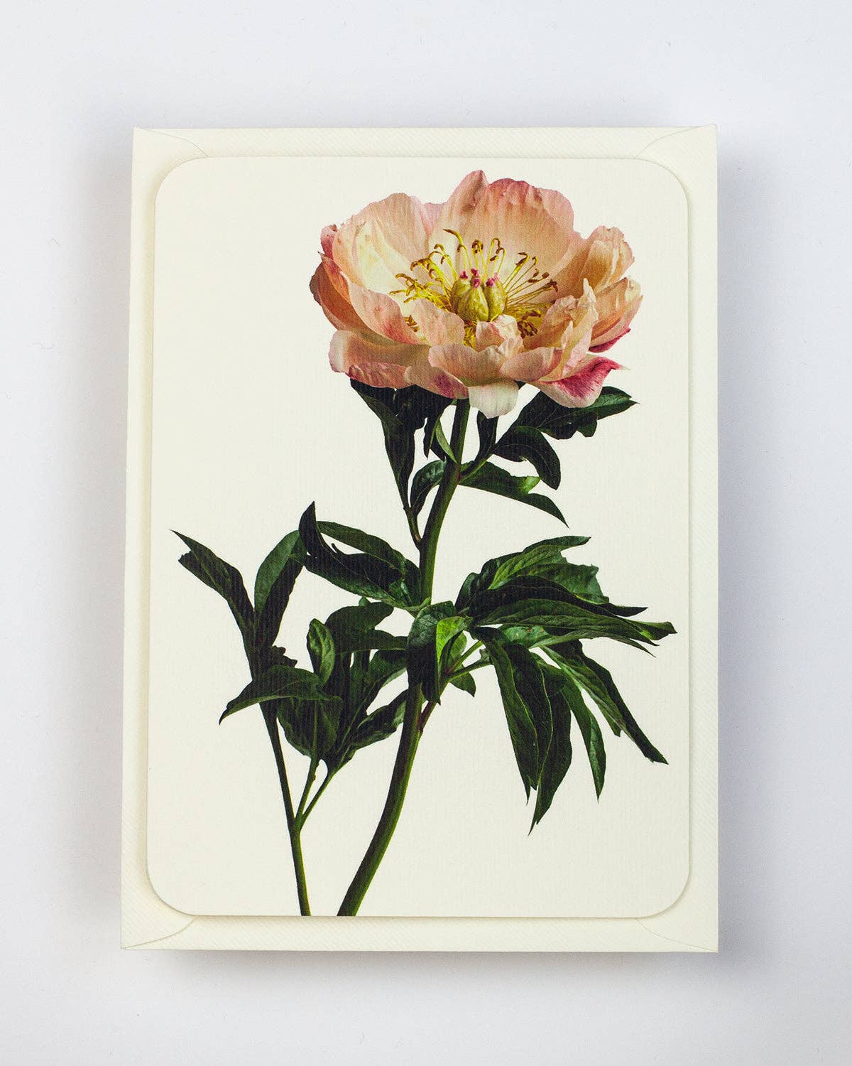Biglietto di auguri Peonia