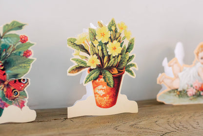 Fun Cards For Place Setting - 13 pieces