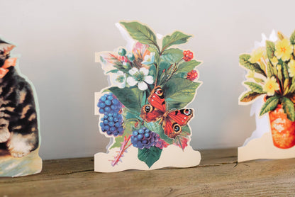 Fun Cards For Place Setting - 13 pieces