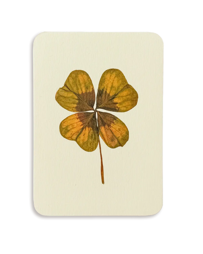 Four Leaf Clover Greeting Card | Birthday Card