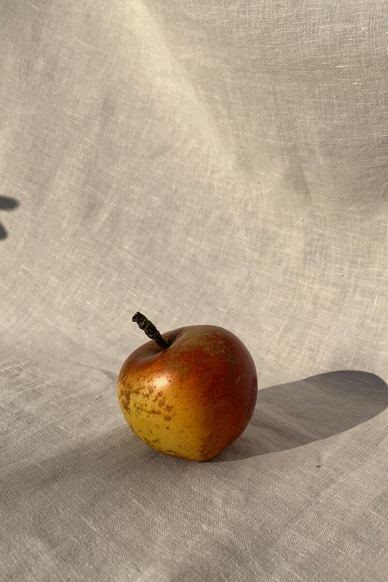 Hand-Painted Ceramic Blenheim Apple