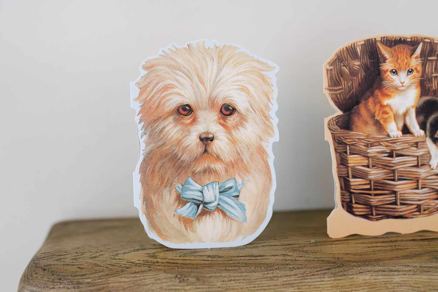 MINI DIE CUT EVERYDAY CARDS