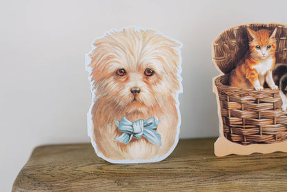 Fun Cards For Place Setting - 13 pieces