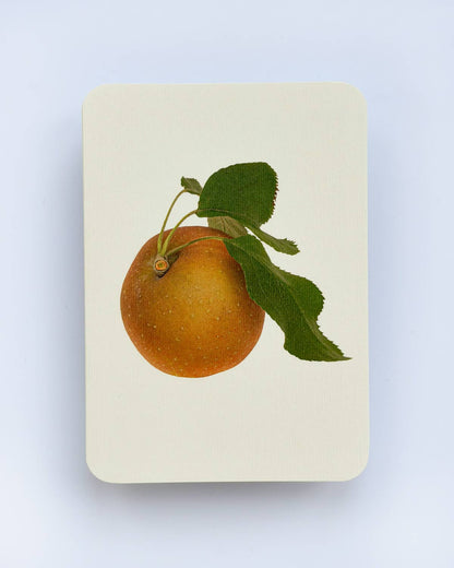 Egremont Russet Apple Greeting Card | Birthday Card