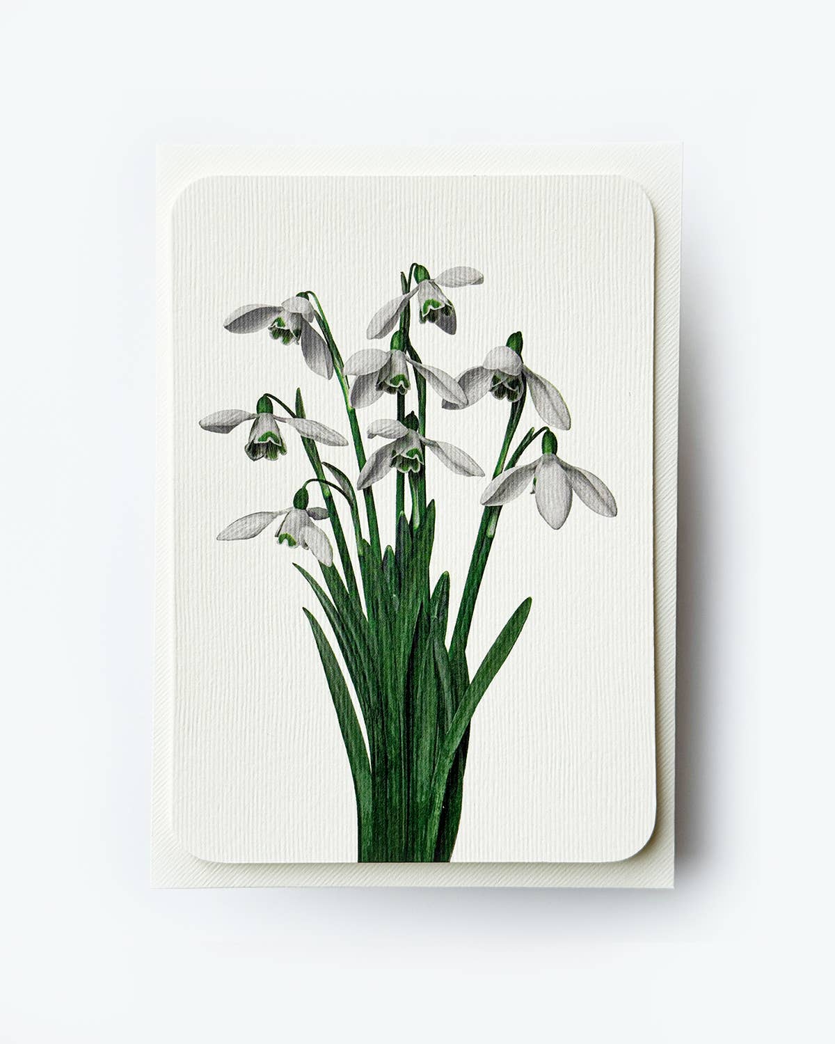 Snowdrops Greeting Card | Birthday Card | Luxury Cards