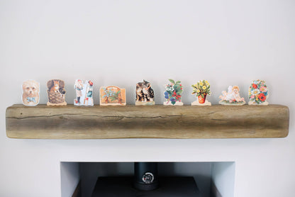 Fun Cards For Place Setting - 13 pieces