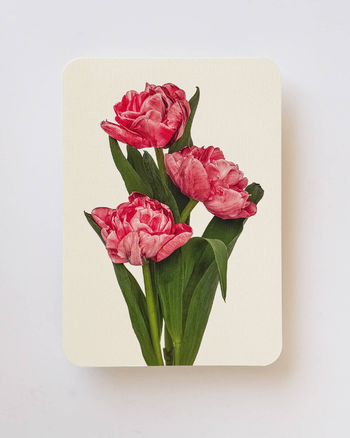 Pink Tulips Greeting Card | Birthday Card | Luxury Cards – Vicolo Via ...
