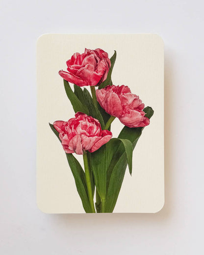 Biglietto d'auguri con tulipani rosa | Biglietto di compleanno | Biglietti di lusso