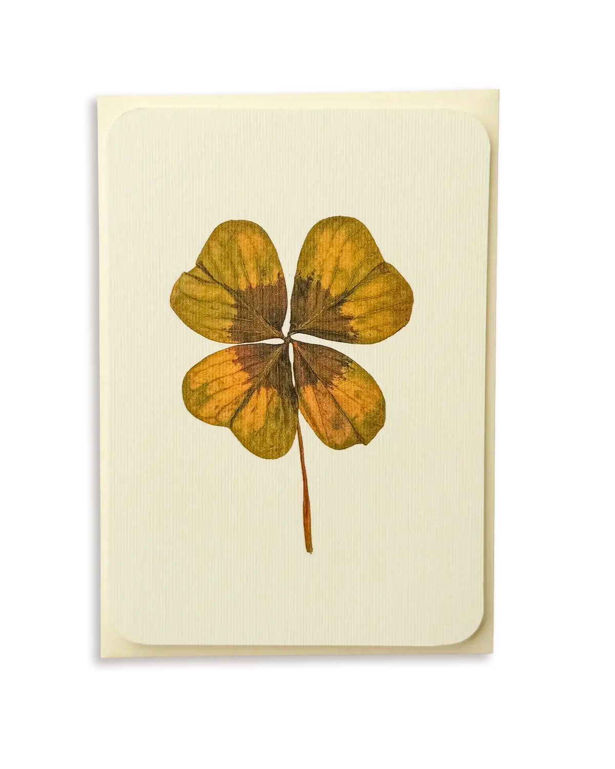 Four Leaf Clover Greeting Card | Birthday Card
