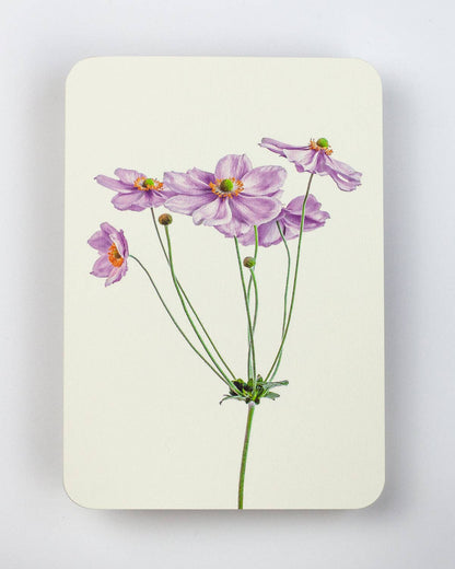 Biglietto d'auguri Anemone