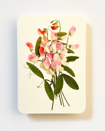 Biglietto d'auguri con piselli dolci rosa | Biglietto di compleanno | Biglietti di lusso