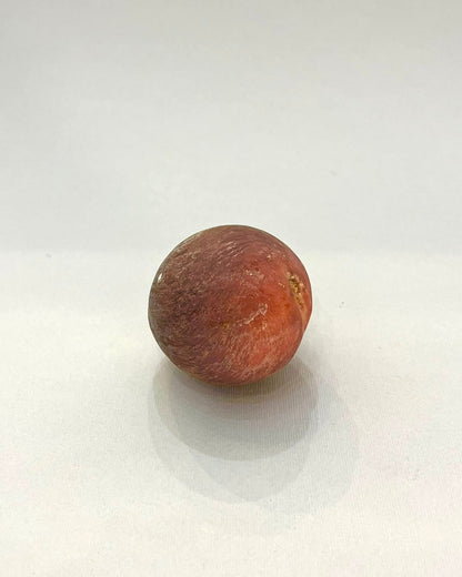 Antique Marble Fruit - Purple Plumb