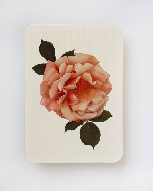Antique Blush Rose Greeting Card | Birthday Card
