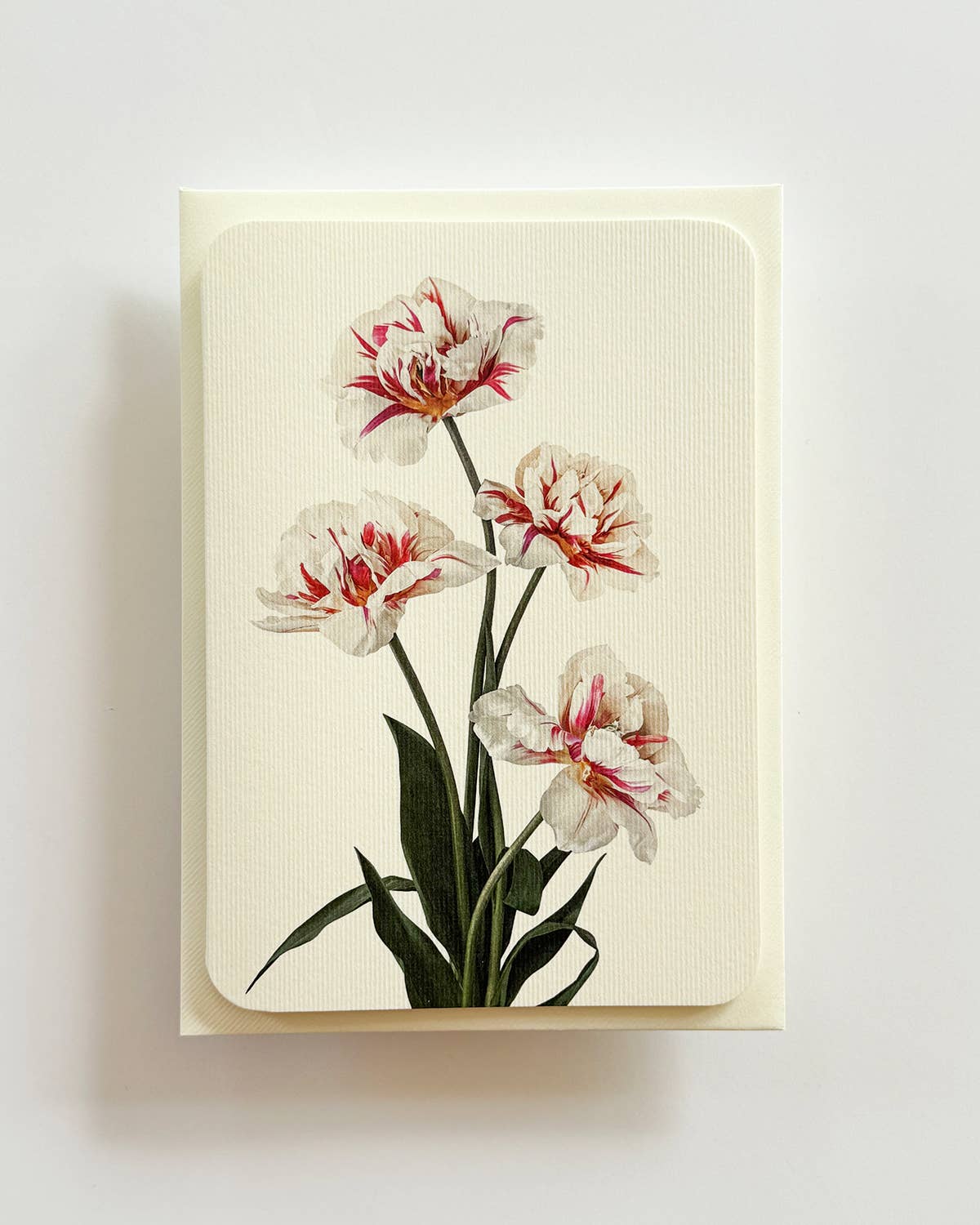 Tulips Greeting Card | Birthday Card | Luxury Cards