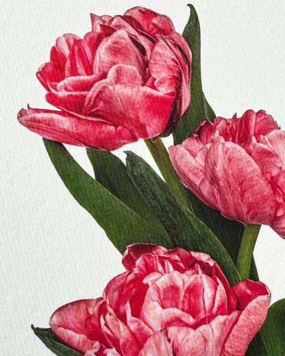 Biglietto d'auguri con tulipani rosa | Biglietto di compleanno | Biglietti di lusso