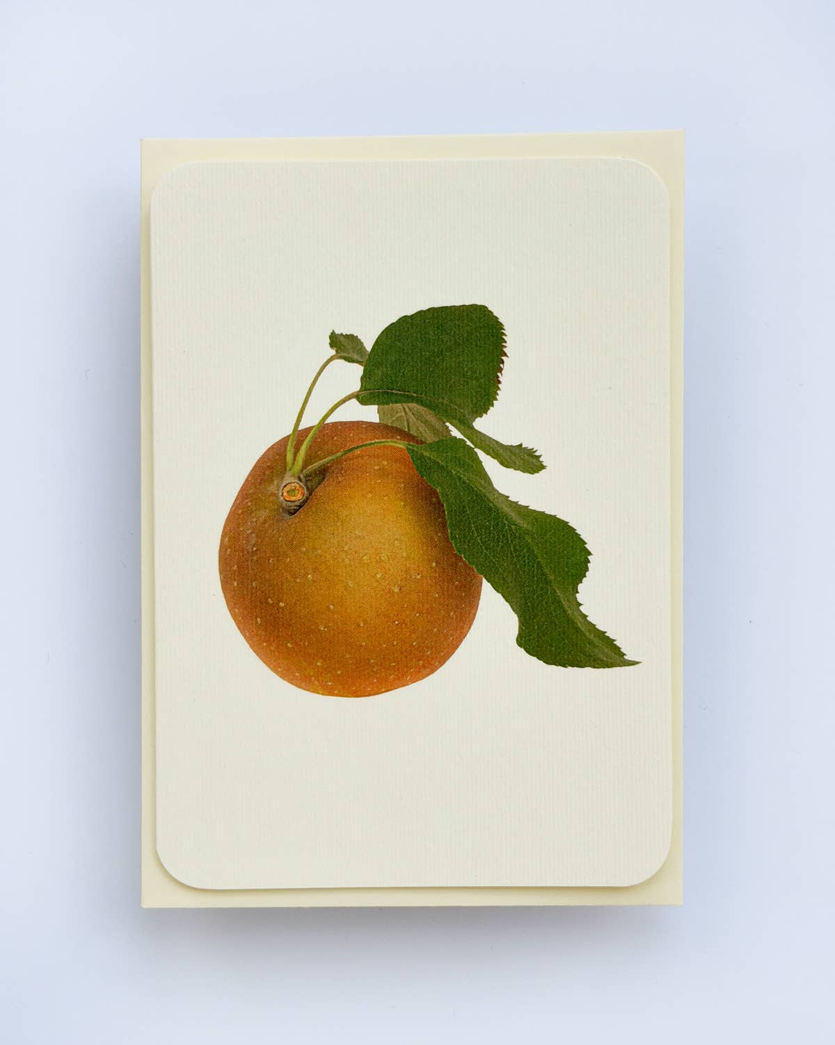 Egremont Russet Apple Greeting Card | Birthday Card