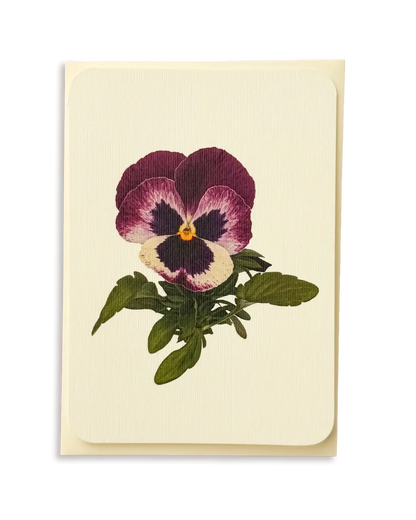 Pansy I Greeting Card | Birthday Card