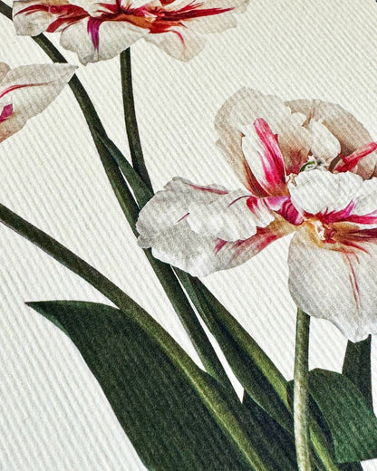 Biglietto d'auguri con tulipani | Biglietto di compleanno | Biglietti di lusso