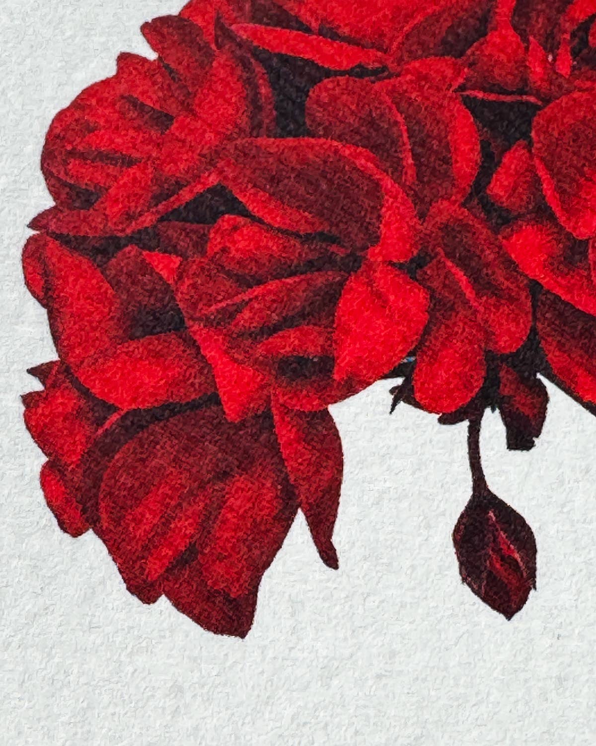 Geranium Greeting Card | Birthday Card | Luxury Cards