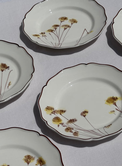 Hand Painted Field Flowers Trattoria Dinner - Set of 6