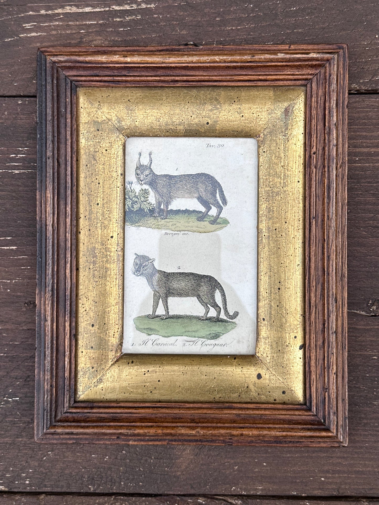 Antique Set of 4 Framed Animals