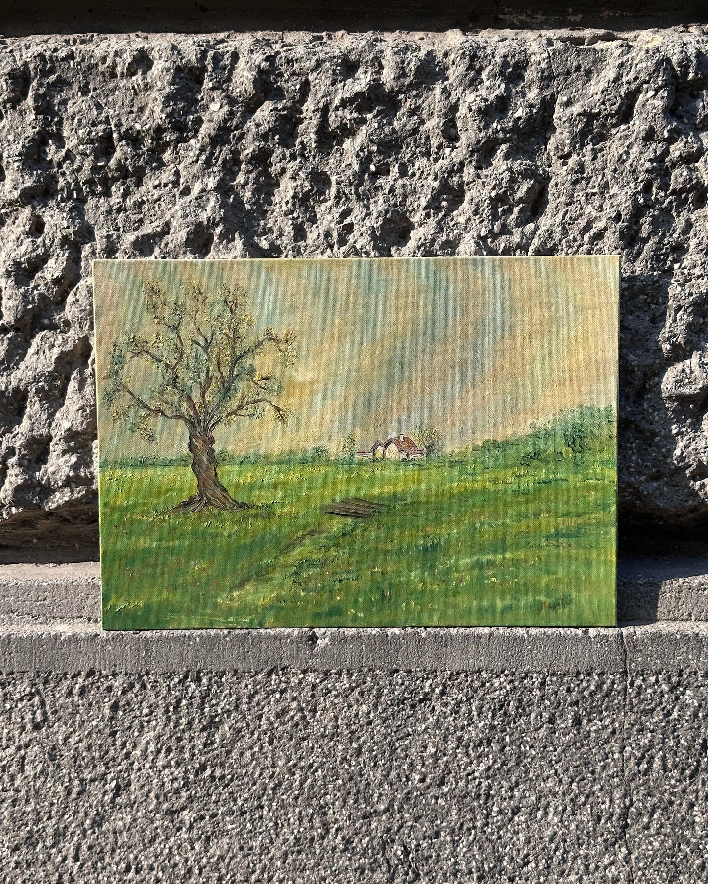 Twisted Tree In The Countryside