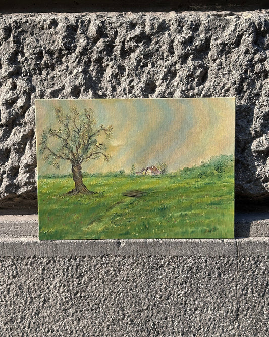 Twisted Tree In The Countryside