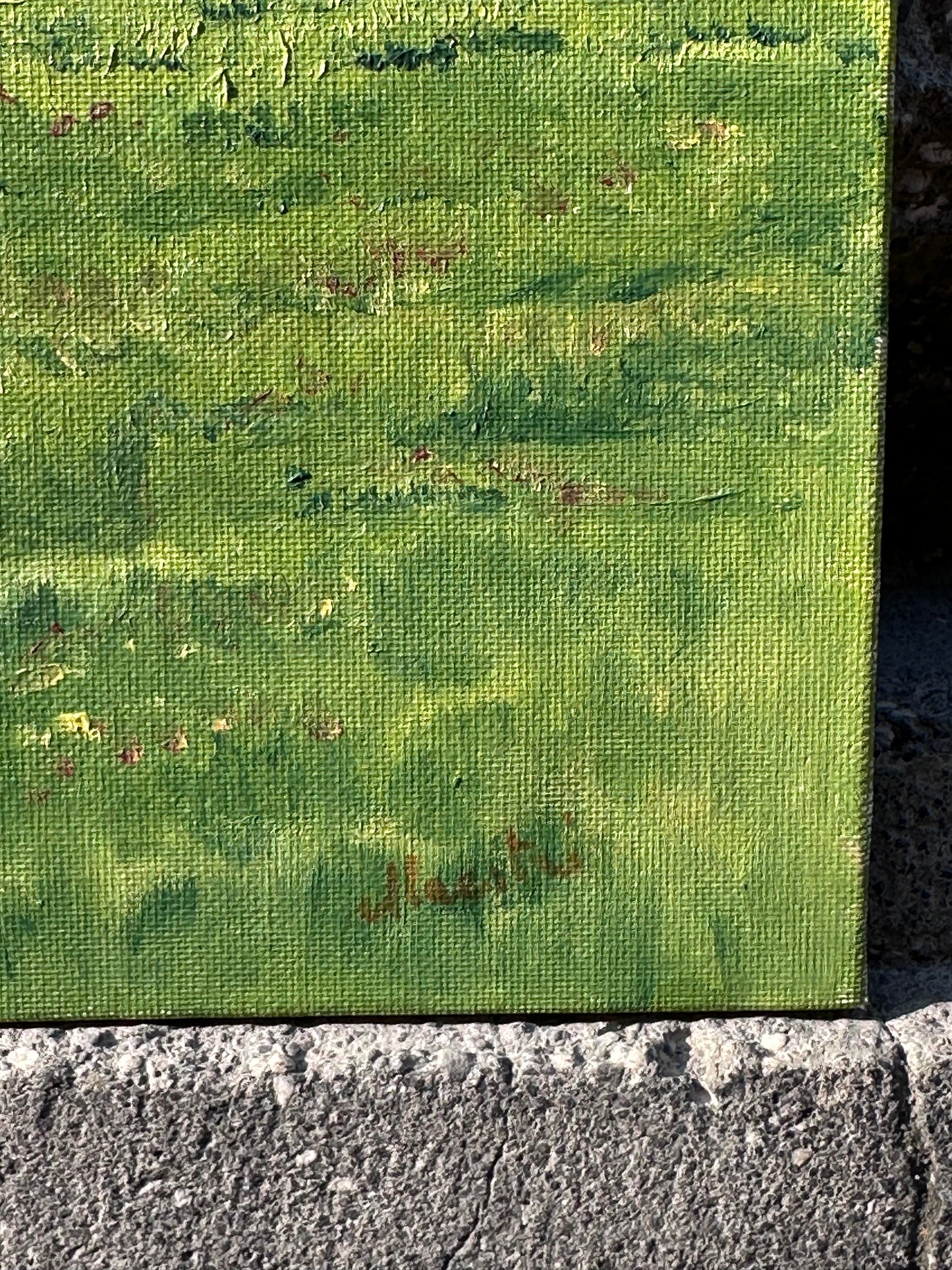 Twisted Tree In The Countryside