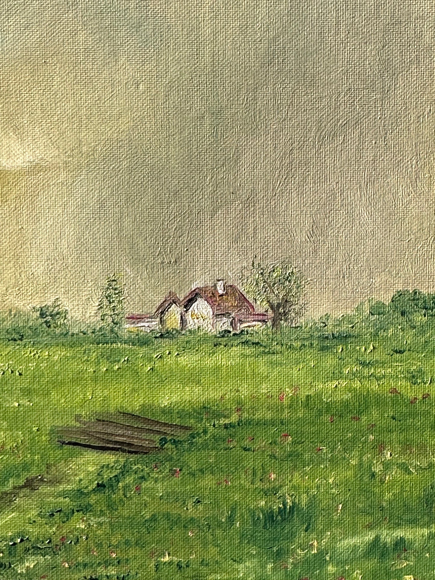 Twisted Tree In The Countryside