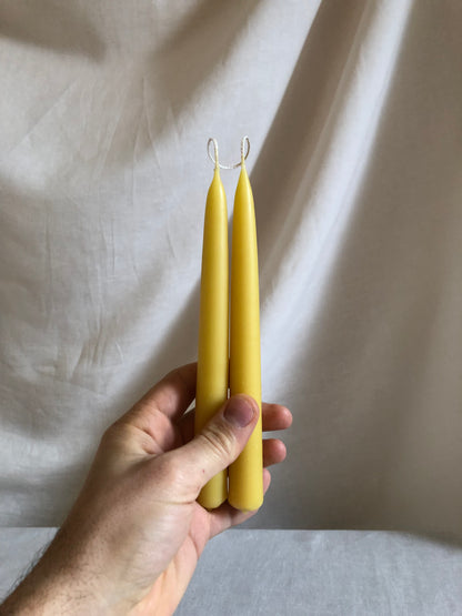 Candele in cera d'api affusolate V.VM - 20 cm