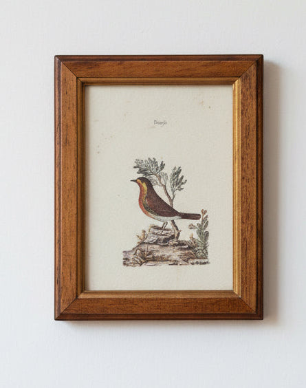 Set of Framed Bird Prints