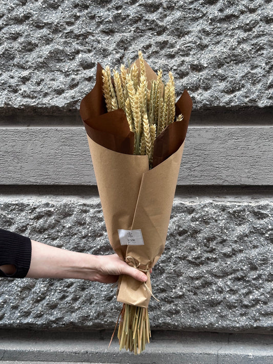 Fiori secchi - Grano naturale (triticum)
