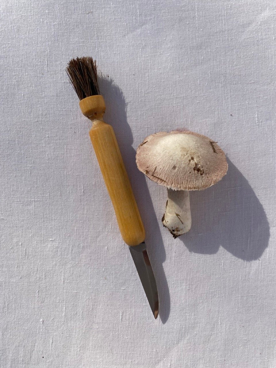 Coltello e spazzola per funghi