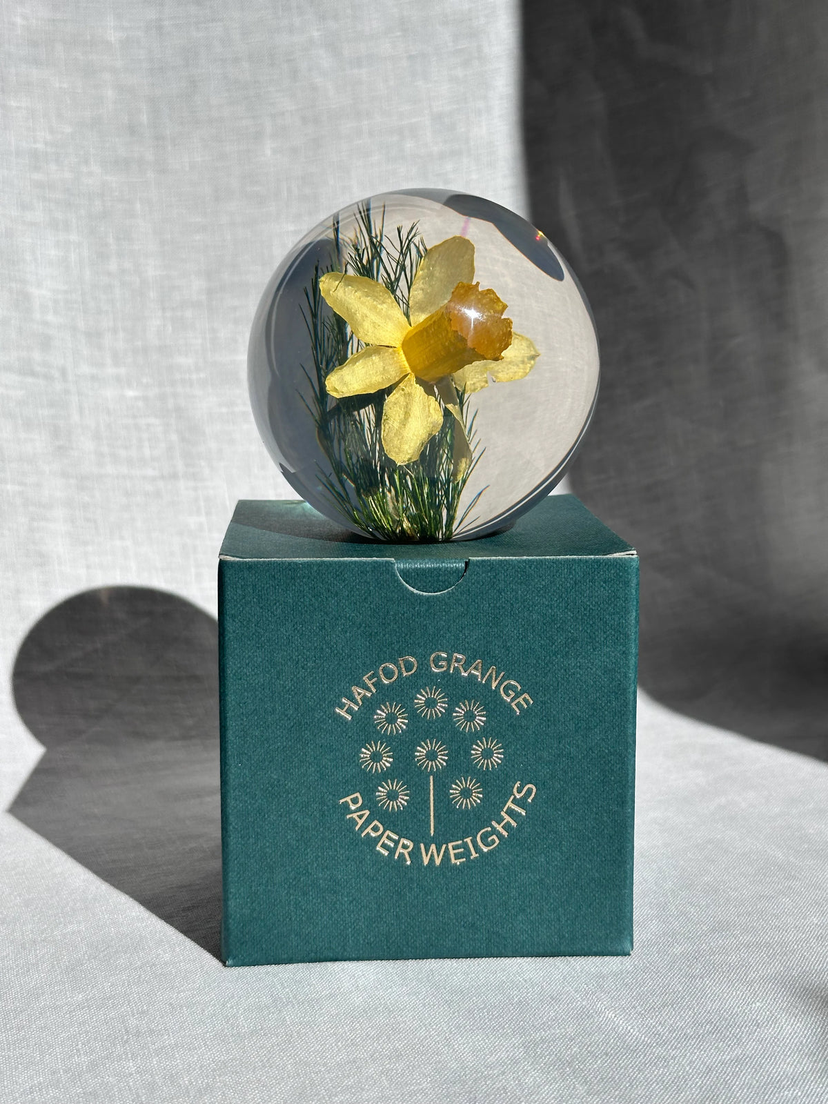 Daffodil Paperweight - Small
