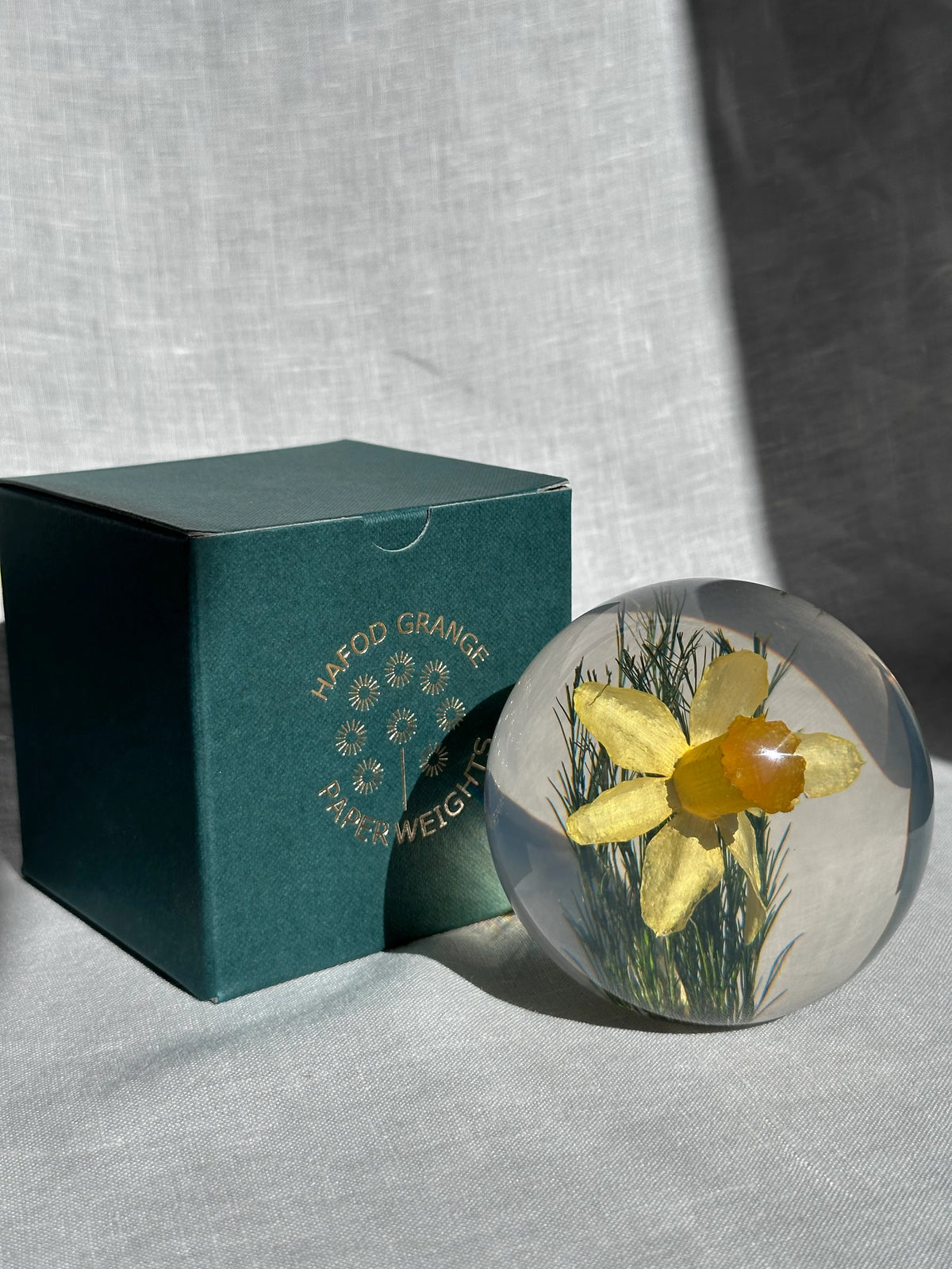Daffodil Paperweight - Small