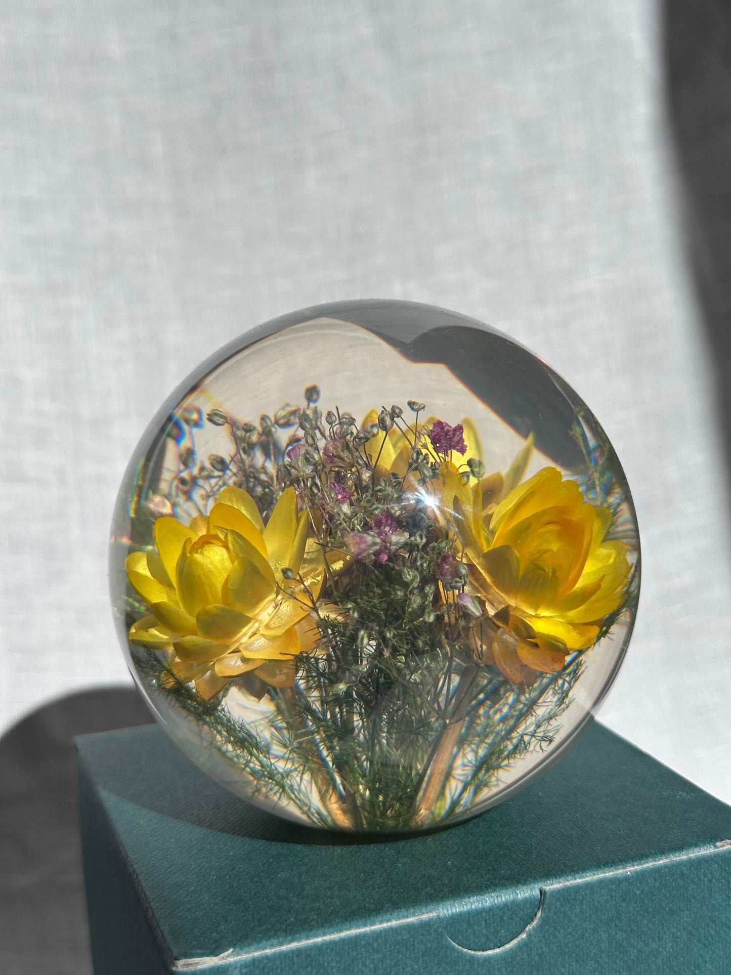 Helichrysum Yellow Paperweight - Large