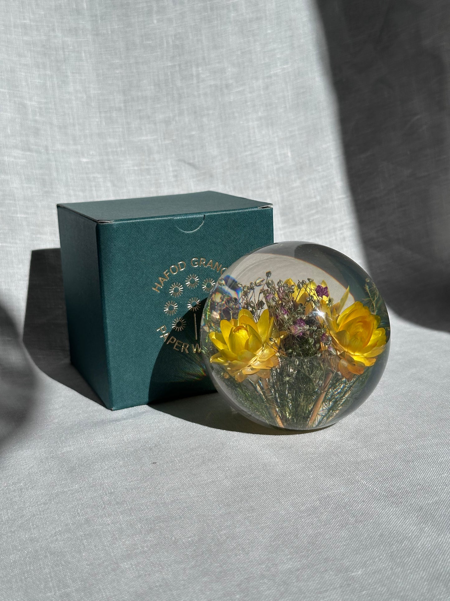 Helichrysum Yellow Paperweight - Large