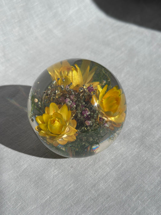 Helichrysum Yellow Paperweight - Large