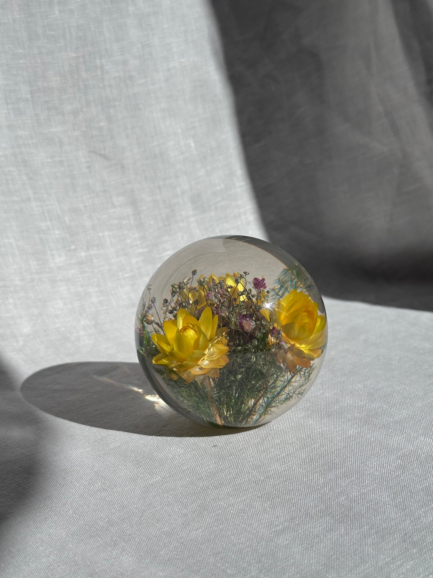 Helichrysum Yellow Paperweight - Large