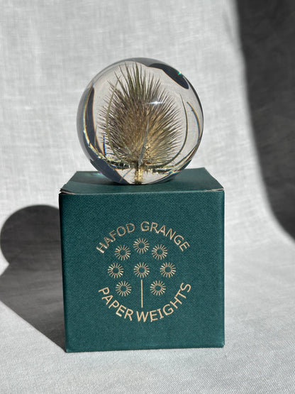 Teasel Paperweight - Small