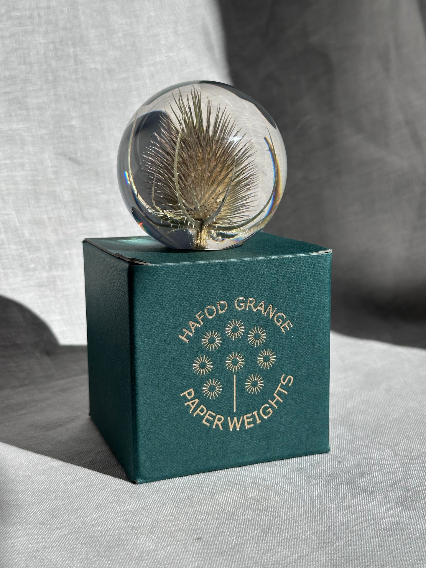 Teasel Paperweight - Small